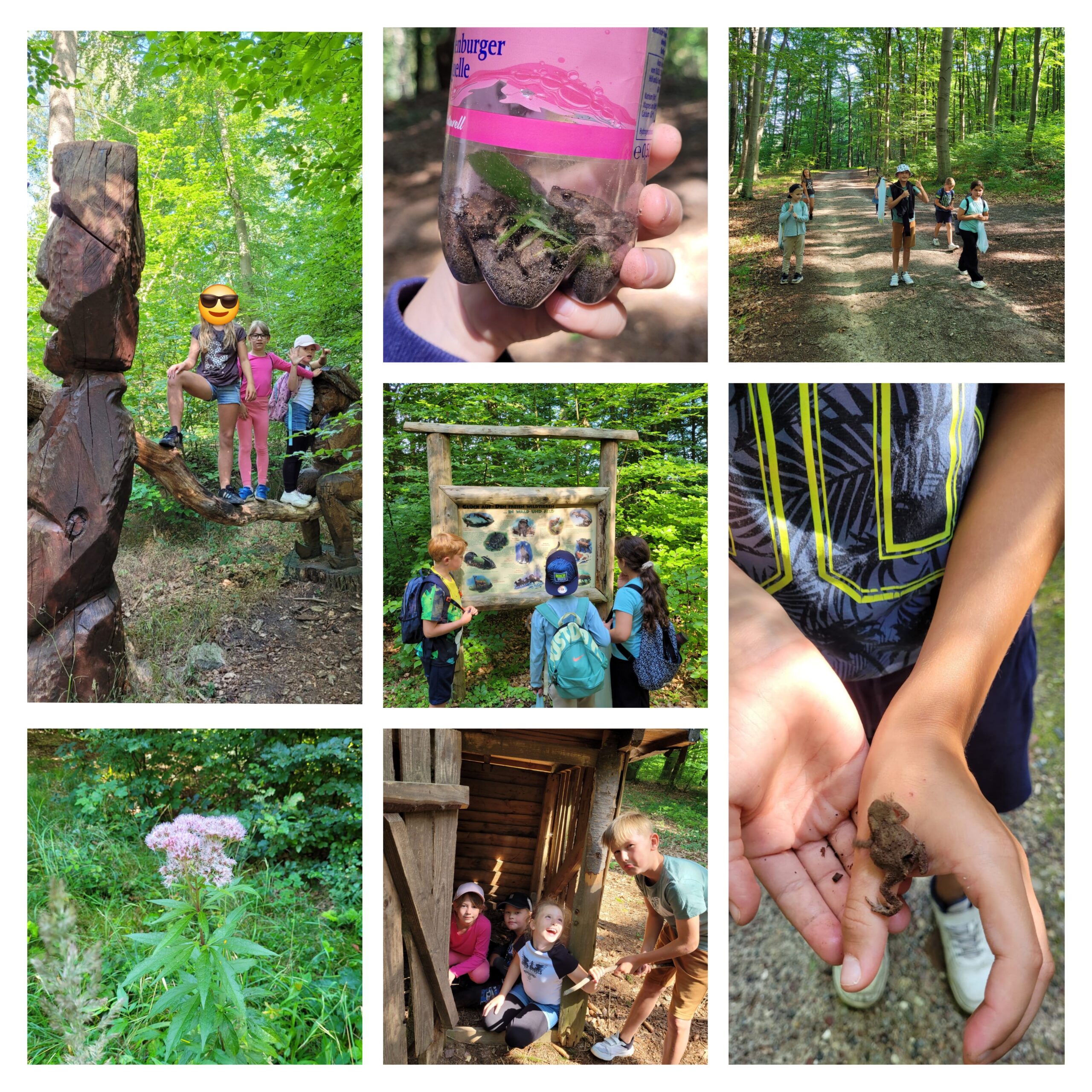 Ferien Märchenwald 1