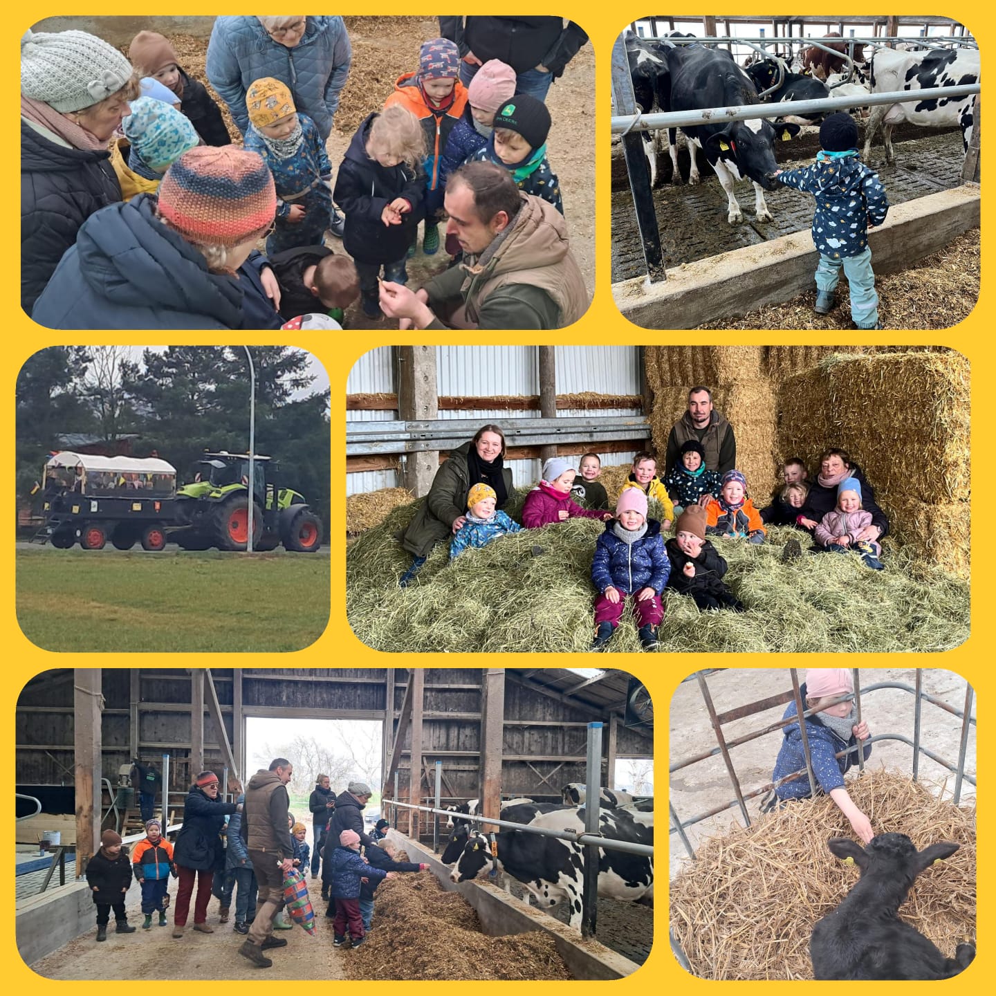 Kita „Bimmelbahn“ zu Besuch bei der Agrargenossenschaft Groß Luckow e. G.