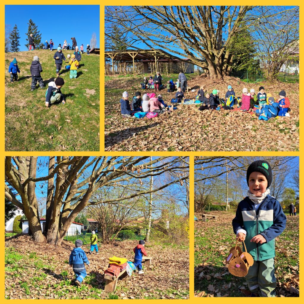 Was hoppelt da im Grase?  Eine kleine Stupsnase…