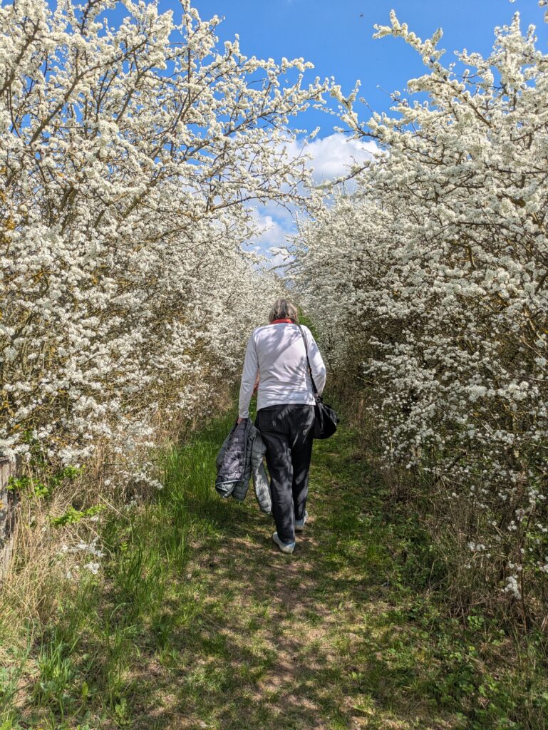 Tagesgruppe „Alles Drin“ auf den Pfaden des Frühlings