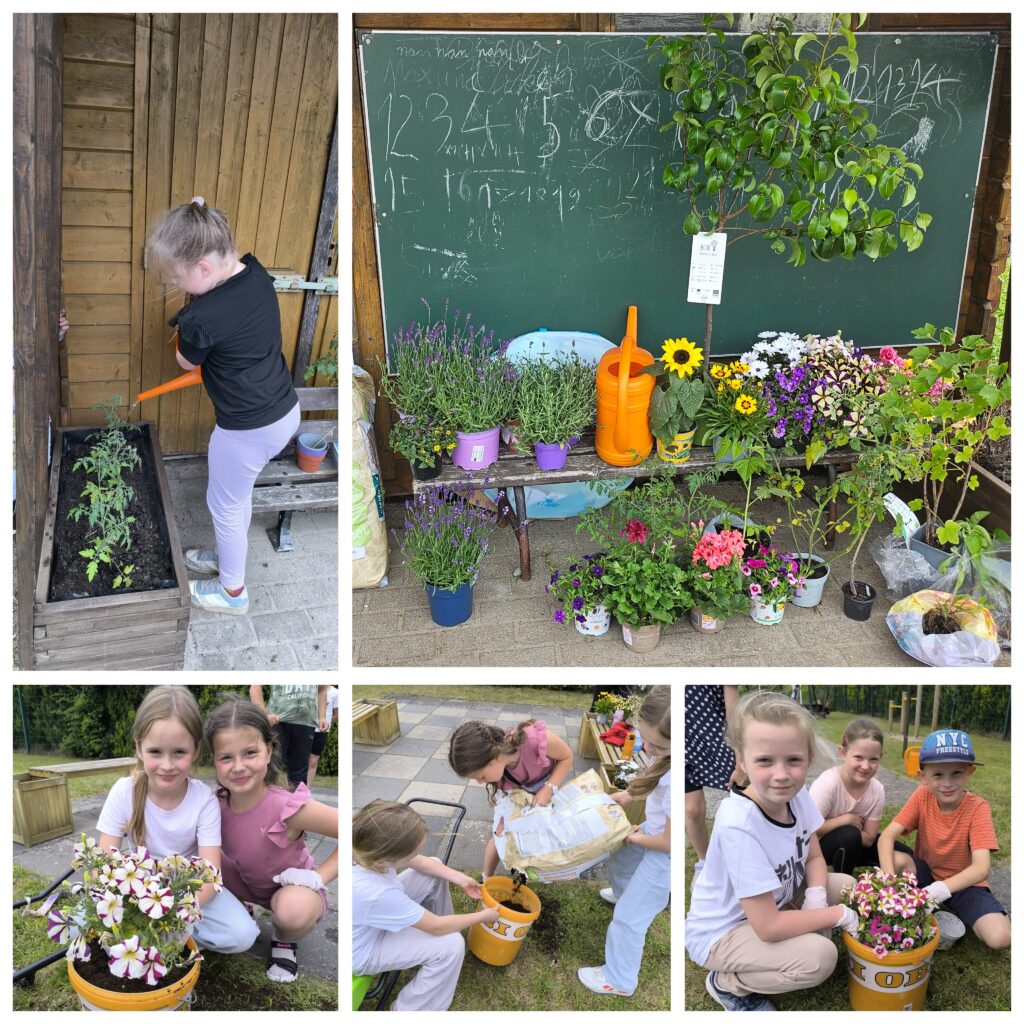 Pflanzentag im Hort